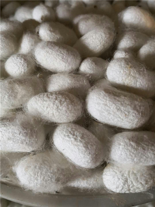 戳我试试